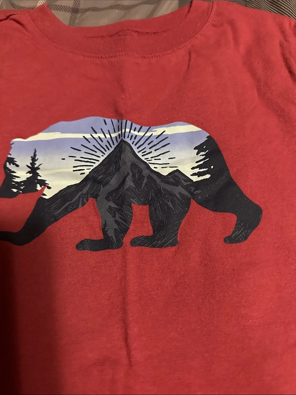 OshKosh B'gosh Red Long-Sleeve Bear Graphic Tee